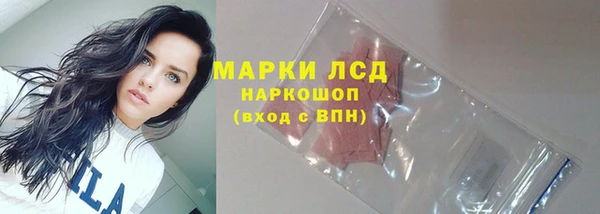 a pvp Дмитровск