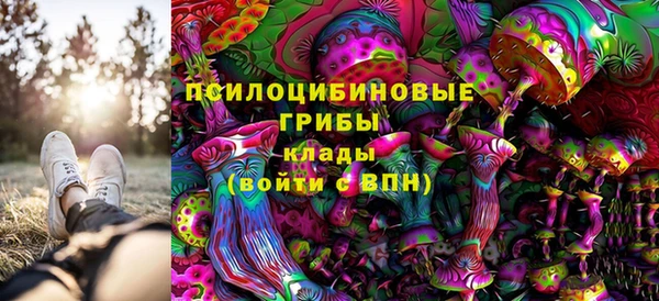 метадон Дмитриев