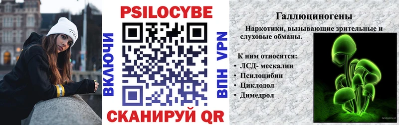 Купить  Пустошка  Псилоцибиновые грибы Cubensis 